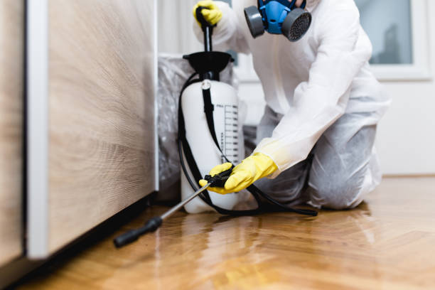 Reliable Hawkins, TX Pest Control Solutions