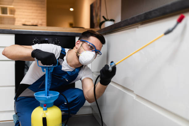 Best Affordable Pest Control Services  in Hawkins, TX