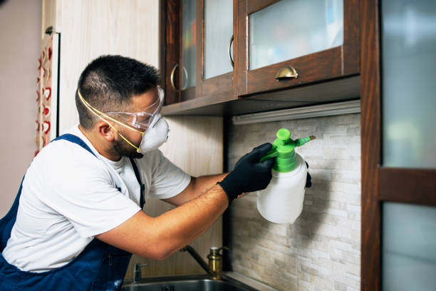 Best Rat Extermination Near Me  in Hawkins, TX