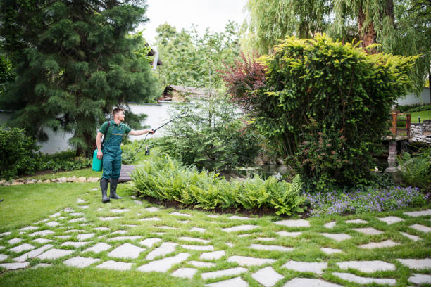 Best Affordable Pest Control Services  in Hawkins, TX