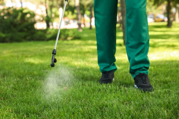 Best Rat Extermination Near Me  in Hawkins, TX