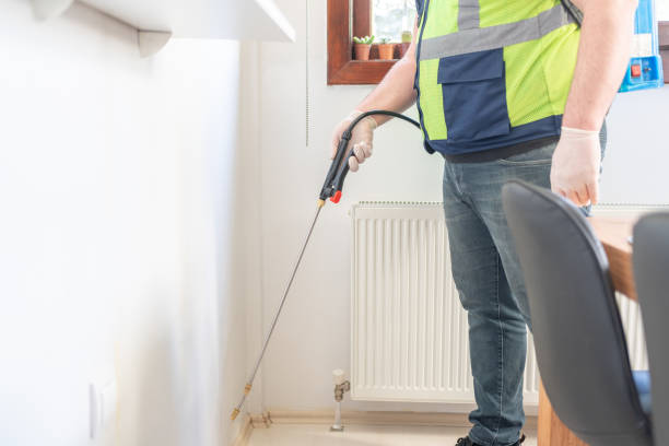Best Local Pest Control Services  in Hawkins, TX