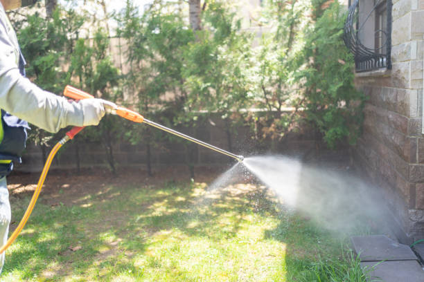 Pest Control for Restaurants in Hawkins, TX