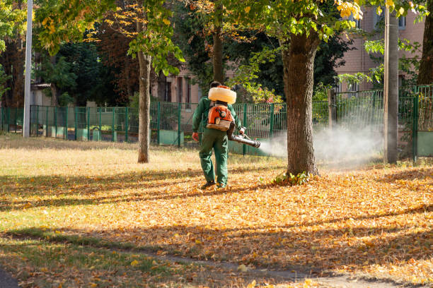 Best Rodent Control Near Me  in Hawkins, TX