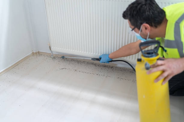 Best Mosquito Control Services  in Hawkins, TX