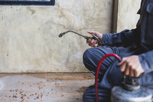Best Emergency Pest Control  in Hawkins, TX